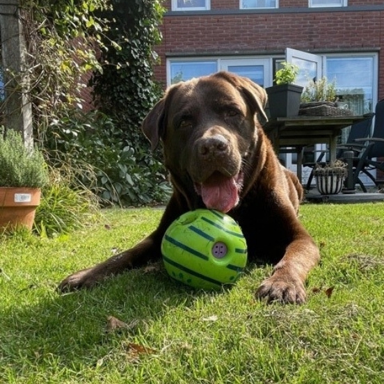 Untitled design - 2021-09-14T123732.895