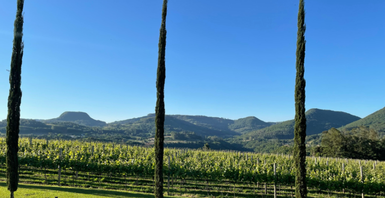 BWH photo winery brazil1