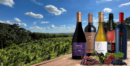 BWH Foto artigos site